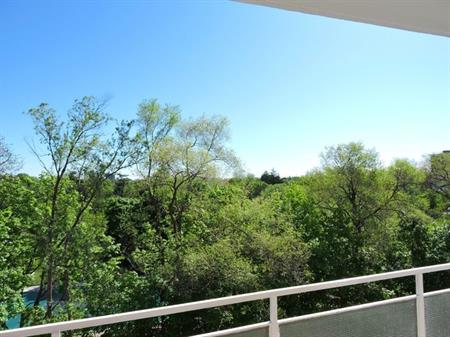 3089 Jaguar Valley Drive | 3089 Jaguar Valley Drive, Mississauga