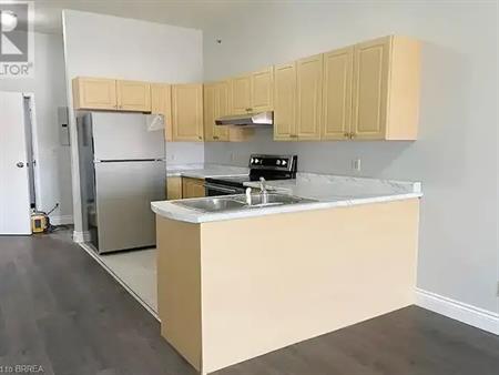 150 COLBORNE Street Unit# 403 | 150 COLBORNE Street Unit# 403, Brantford