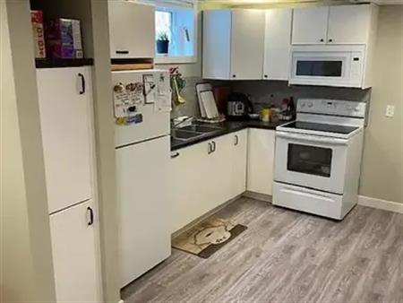 1 Bedroom Basement Suite, Great Location in Thorncliffe NW | Calgary