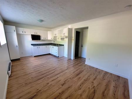 3 1/2 (1 Chambre) Libre 1er Juillet