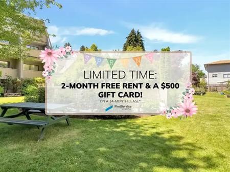 1720 Cook St & 1035 N Park | 1720 Cook St & 1035 N Park, Victoria