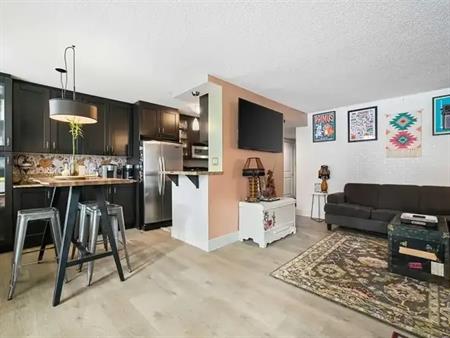 102 Centro | 733 14 Avenue Southwest, Calgary