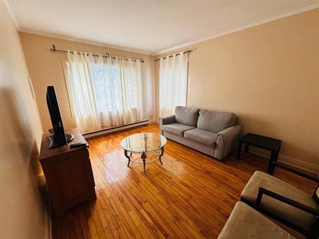 Appartement 3 1/2 rénové avec vue sur la rivière, entièrement meublé, laveuse/sécheuse