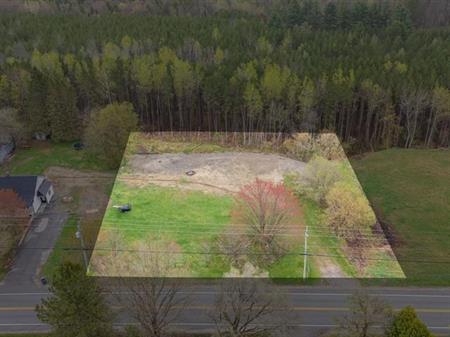 Terrain