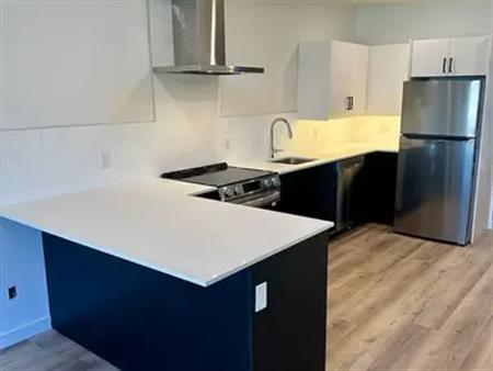 BRAND New Remodeled 3 Bedroom | Calgary