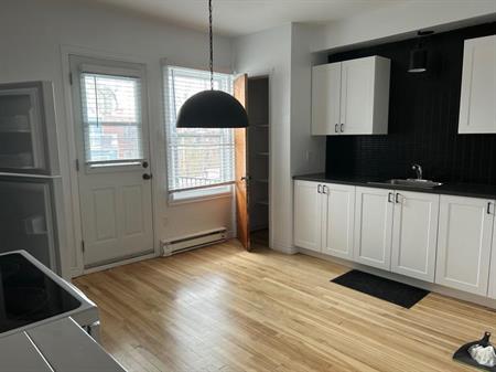 Rosemont tres grand et beau condo,rénové,décoré,Deux balcoms immeuble tranquille