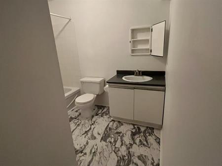 Grand Appartement 51/2
