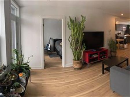 Appartement 2 Chambres Dans Rosemont