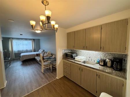 Appartement 2 1/2 avec vue sur la rivière, entièrement meublé