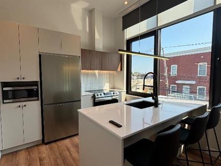Loft 31/2 moderne centre-ville Drummondville