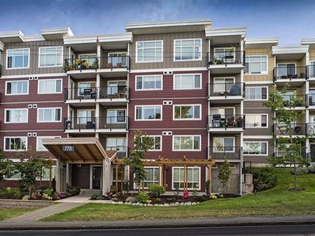 The Crest | 775 Terminal Avenue North, Nanaimo