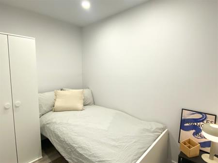Belle Chambre à Louer Sur Le Plateau