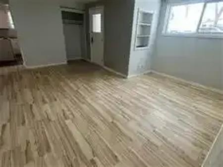 Spacious 2 Bedroom Basement suite (PN1156-2) | 12907 102 St Nw, Edmonton