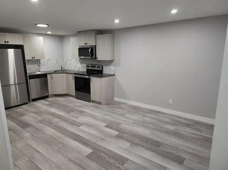 Cozy 1 bedroom basement in beautiful community of Pine creek | 56 Creekstone Drive Southwest, Calgary