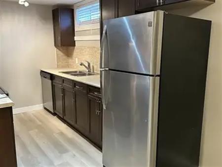 Updated spacious 3 Bedroom 1 bath lower suite*In-Suite Laundry*Fenced Yard* | 10438 166 Street Northwest, Edmonton