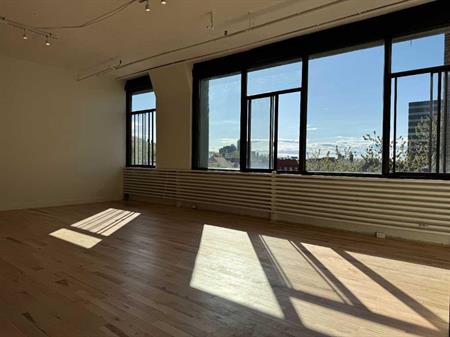 Très grand loft à proximité de la montagne et du parc Jeanne-Mance