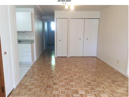 Rosemont 10e ave grand 3 1/2 à louer