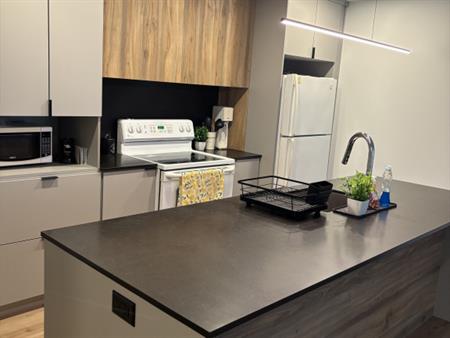 Appartement 4 1/2 Charlesbourg