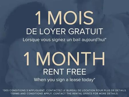 The Onyx Montreal Apartments | 370 Rue des Seigneurs, Montreal