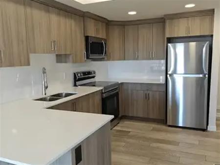 Brand new walkout basement legal suite with 2 bedrooms | Calgary