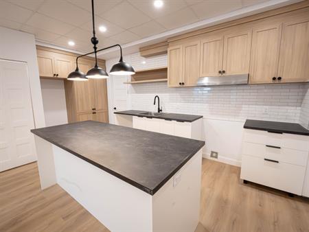 4 1/2 Rénové à Louer - St-Hyacinthe