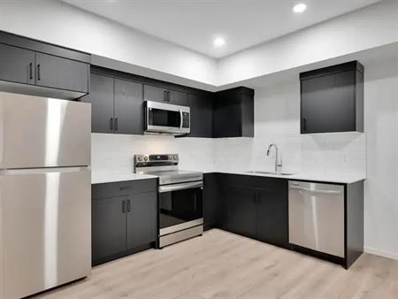 1 Bedroom - Brand New Upscale Basement Suite with Laundry and Private Entrance | 7172 Rosenthal Drive Northwest, Edmonton