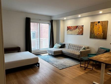 Studio Moderne à Louer – Petite Italie