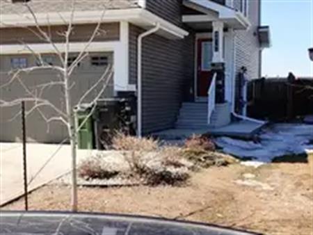 Furnished Basement in Rosenthal, West Edmonton | 8814 223 Street Northwest, Edmonton