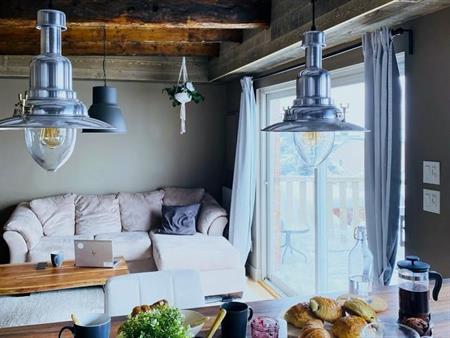 CHARMANT APPARTEMENT TYPE CHALET