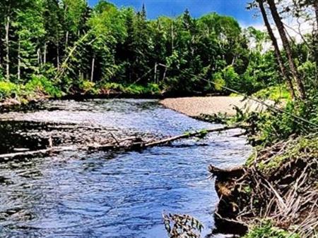 Magnifique terre a bois 35 acres, île et presqu'île + Abris forestier