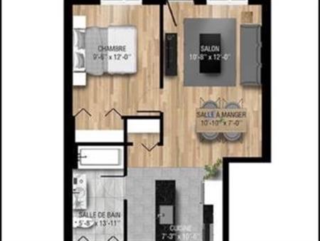 GRAND 3 1/2 RÉNOVÉ CENTRE-VILLE TROIS-RIVIÈRES DISPONIBLE LE 1er JUIN OU 1er JUILLET