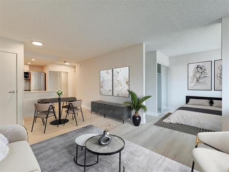 1BR - 2000 Saint-Marc Street, Montréal