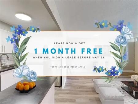 221 Queen Street South | 221 Queen Street South, Kitchener