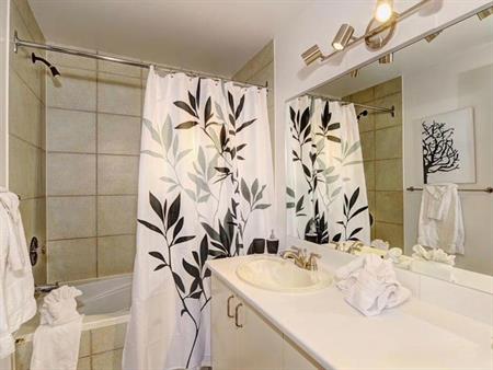 Condo 3 1/2 à l'année, meublé , Stoneham 620-312 Chemin du hibou