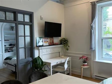 McGill Downtown - Superb 3 1/2 All Inc.