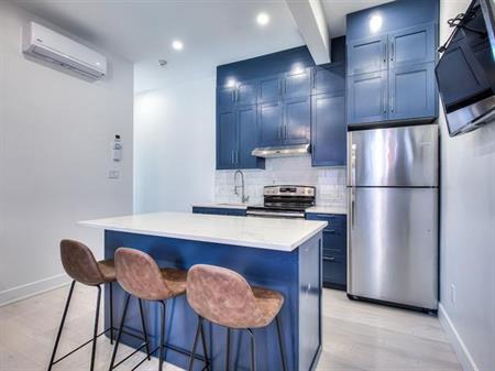 McGill Area - Superb 6 1/2 Furnished