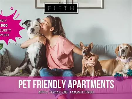 The Fifth Apartments | 1515 5 Street Southwest, Calgary