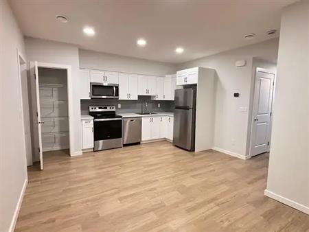 Brand New 2-BR Legal Basement – Available Now in Vermilion Hill | Calgary