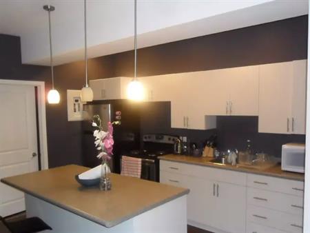 JUNE 1st. West Broadway - Beautiful 1 Bedroom Suite incl/Water, Parking, In-suite Laundry. Cat Friendly. | 187 Balmoral Stree