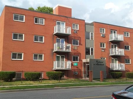 GREAT LOCATION, beautiful tile floor, very close to bus stop and University of Windsor | 530 Mill Street, Windsor