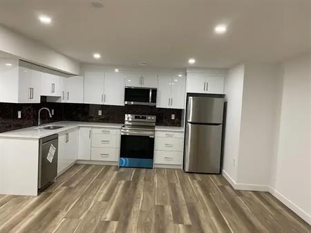 Newly Developed Basement for Rent | 441 Corner Meadows Way Northeast, Calgary