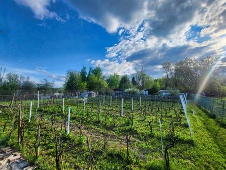 Terrain 6500pc pour agriculture ou élevage à Laval Auteuil à vendre