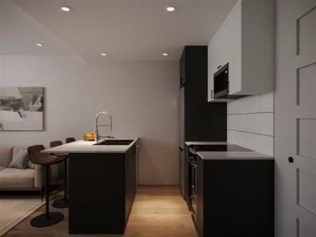 Studio entièrement rénové disponible le 1er juillet