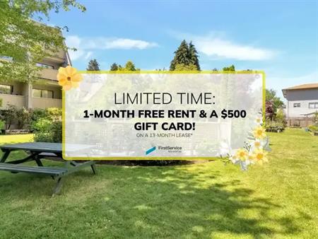 1720 Cook St & 1035 N Park | 1720 Cook St & 1035 N Park, Victoria