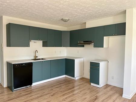 Appartement 4 ½ à louer – Disponible dès le 1er juillet !