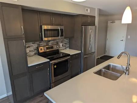 2 Bed 2 Bath Condo for Rent – Bridgwater Forest – Available August 1st | 25 Bridgeland Drive North, Winnipeg