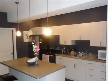 JUNE 1st. West Broadway - Beautiful 1 Bedroom Suite incl/Water, Parking, In-suite Laundry. Cat Friendly. | 187 Balmoral Stree