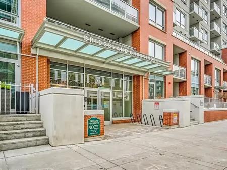 Bridgeland - 1 Bed 1 Bath Apartment | 46 9 Street NE, Calgary