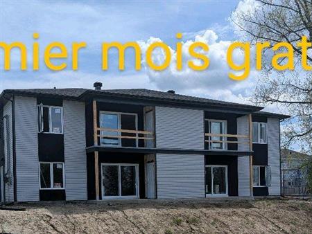 Magnifique 4 et demi neuf de 1000pi/carré situé à Windsor, Qc