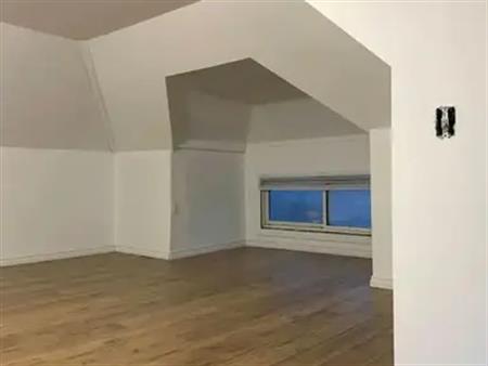 UPPER - 1011 PELISSIER STREET | UPPER - 1011 PELISSIER STREET, Windsor
